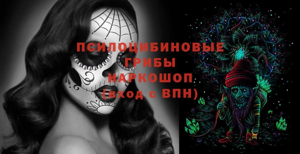 прущий лед Абаза