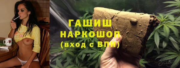 стаф Алексин
